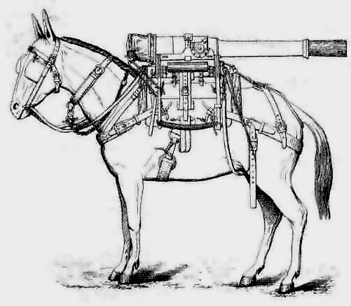 Serbian_0DB80mmGb1